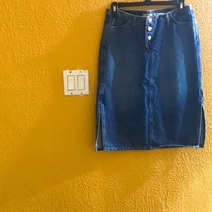 Paris blues skirt
